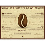 Why Does Your Coffee Taste & Smell So Delicious? - Reactions Infographic Product Image